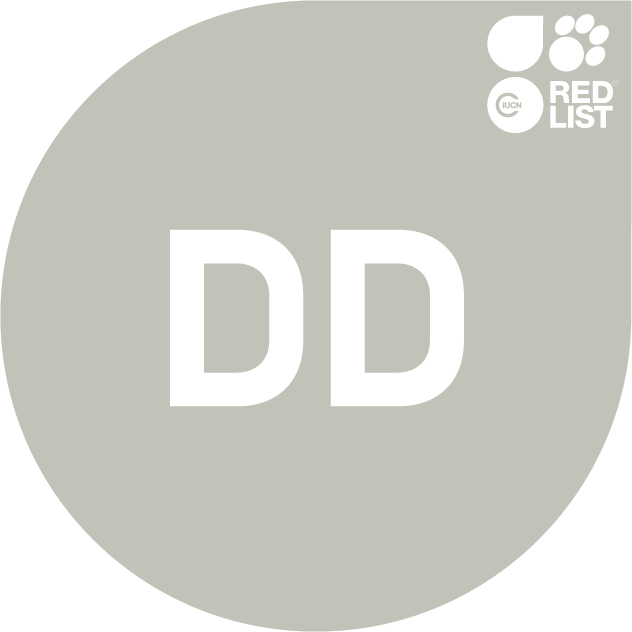 image-20260131091050-1